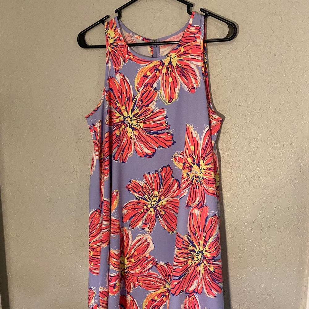 Lilly Pulitzer Molly Haynes Dress S RARE